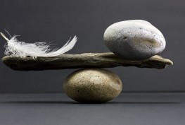 a feather and a stone equally balance