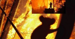 54. SORUN YANGINLAR DEĞİL CAYDIRICILIK VE BAŞLANGIÇTA SÖNDÜREMEMEK