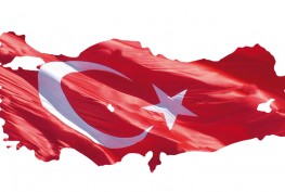 WhatsApp Image 2025-11-06 at 13.27.06