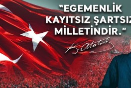 WhatsApp Image 2025-11-19 at 11.10.49