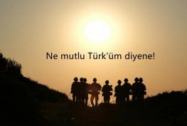 WhatsApp Image 2025-12-01 at 17.56.23