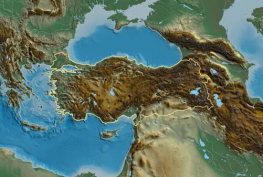 image (1)