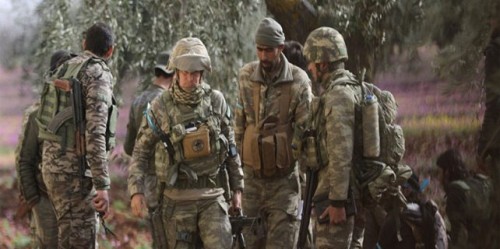 Zeytin Dalı Fotoğraflar4