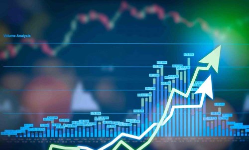 yeni-ekonomik-yapinin-prensipleri