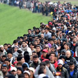 resim_2022-04-21_115128615